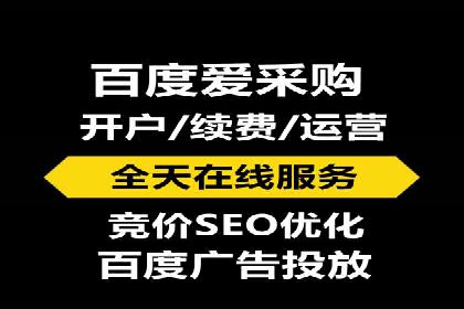 专业SEM服务托管方案案例分析